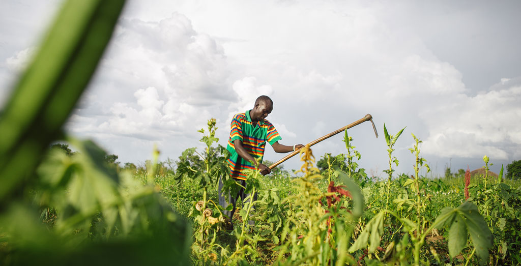 uganda-more-support-needed-to-fight-environmental-degradation-around