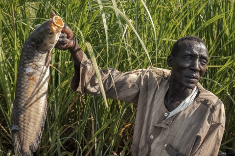 Swamp fishing secures schooling in South Sudan