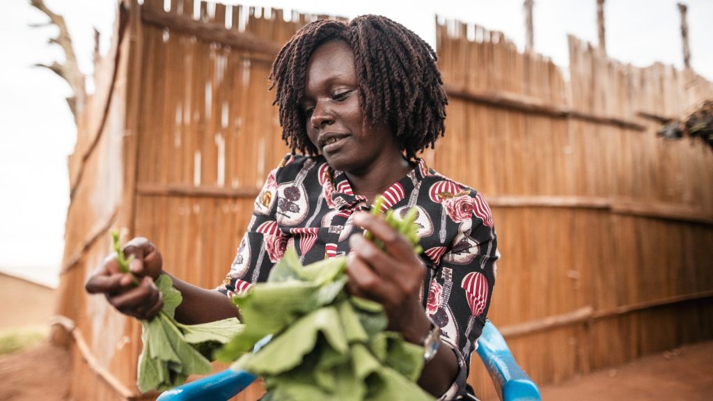 A woman sitting on a plastic chair and ripping some cabbage into smaller shreads.